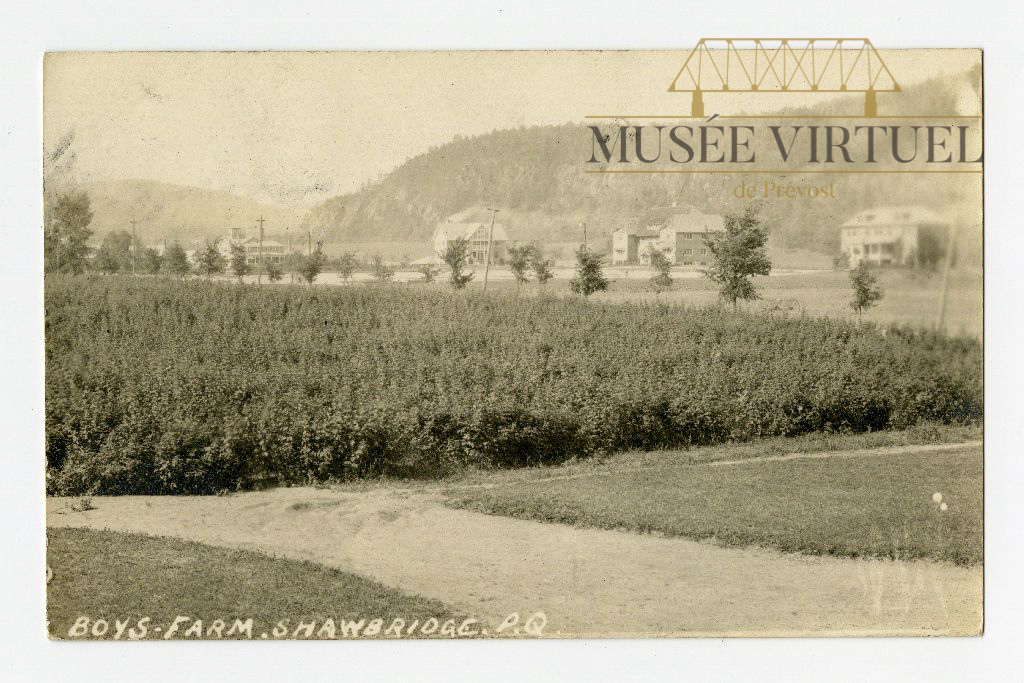 4. Vue générale sur le Boy's Farm vers 1924 - Collection de Bibliothèque et Archives nationales du Québec - © M. Jurist