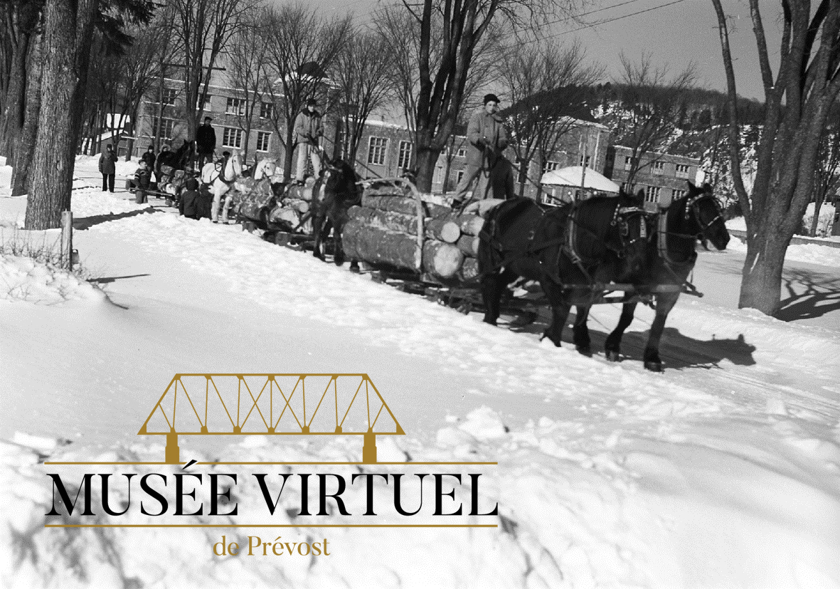 3. Transport du bois à cheval vers les années 1940 - Collection du Gouvernement du Québec (Bilan du siècle - Université de Sherbrooke)