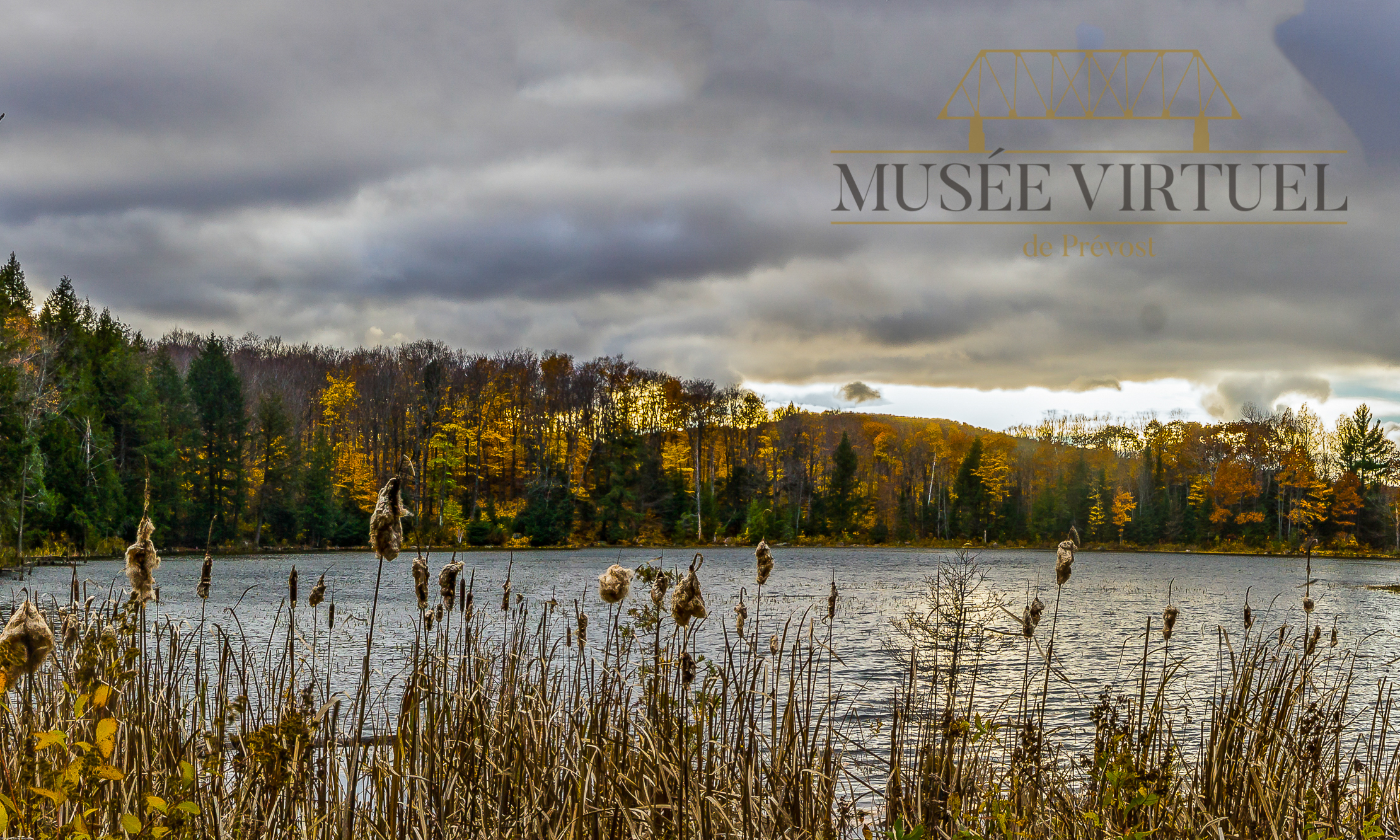 Réserve naturelle Alfred-Kelly en 2016 - Collection de la Ville de Prévost - © Gaston Bessette