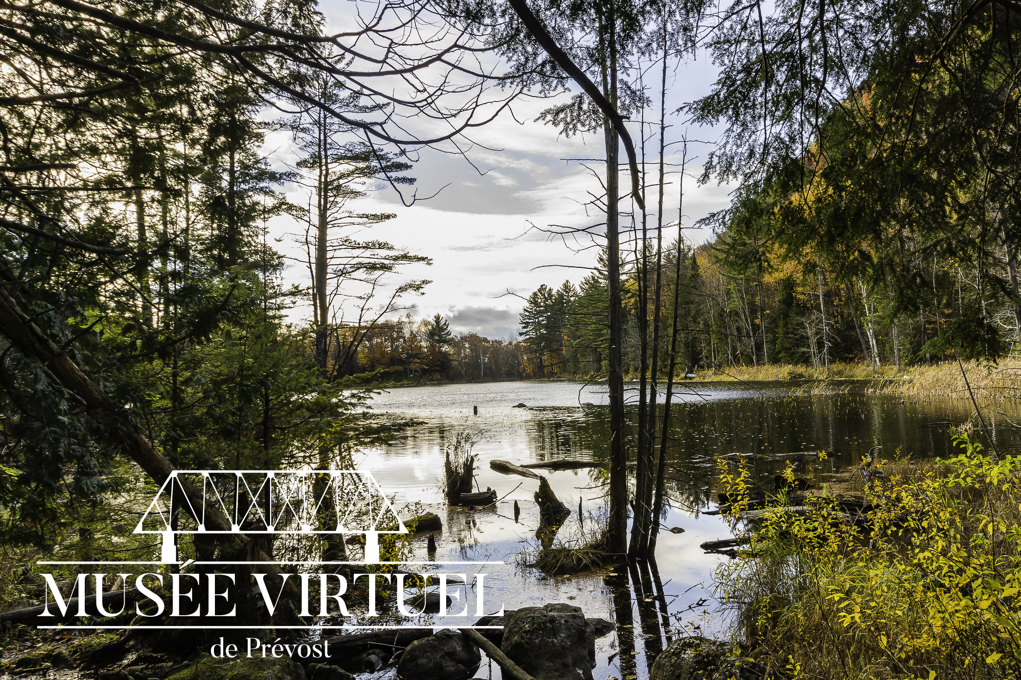 Réserve naturelle Alfred-Kelly en 2016 - Collection de la Ville de Prévost - © Gaston Bessette