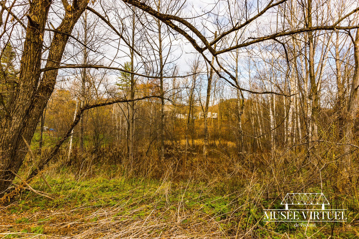 1. Emplacement de l’ancien Lac Cyr - Collection Ville de Prévost - © Gaston Bessette